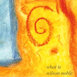 Wilson Noble/Who Are The Band - What Is