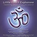 Chris Elam - Little Heart Explosions - Back